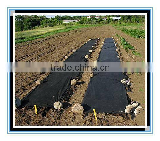 Hosipital pp nonwoven sheet