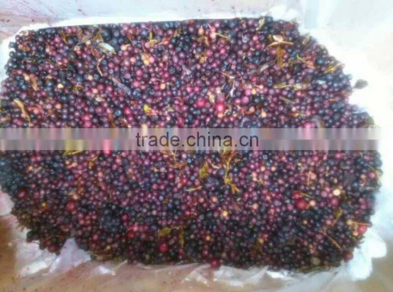 Newest Blueberry color sorter separation machine