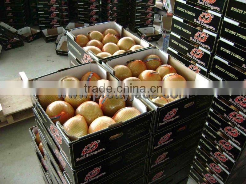 Hot sale Fresh honey pomelo from China
