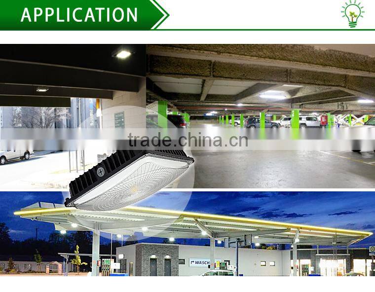 LED High-Output Canopy Light - Neutral White, Dark Bronze - 6000 lumens IN STOCK LED High-Output Canopy Light - Neutral White, D