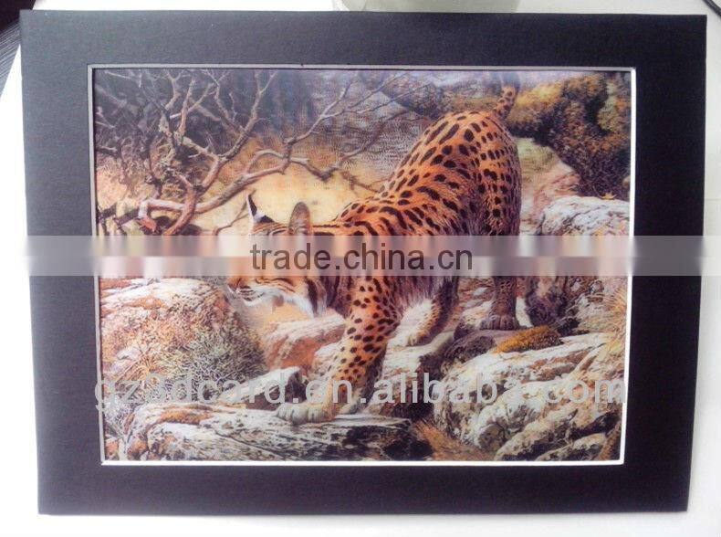 Custom lenticular 3D framed pictures