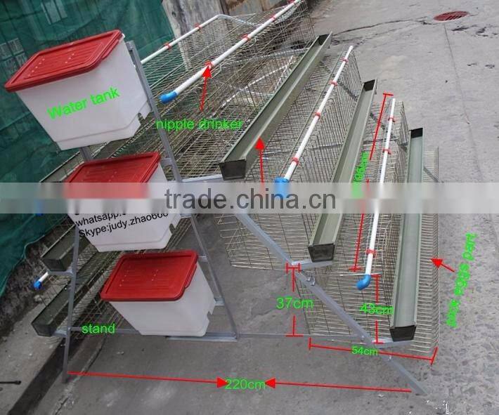 Layer chickens rearing cage A type style for farm