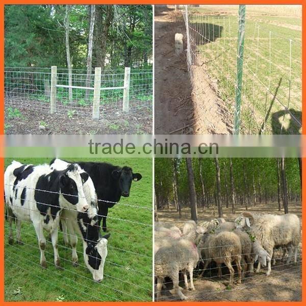 2017 Top Quality Cattle / sheep/deer /animal fence