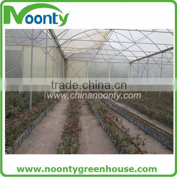 Multispan Tunnel Greenhouse for flower