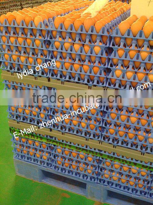 30 holes plastic egg tray for packing and transportation 30*30*5 cm plastic egg tray (Lydia: 008615965977837)