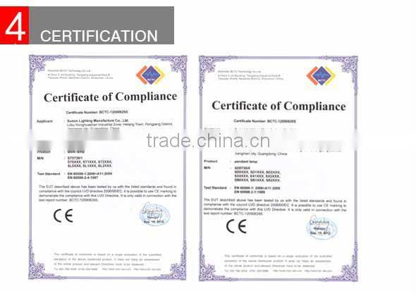 Hot Sale Modern Wrought Iron Decorative Home Chandelier lighting/Indoor Hanging Light