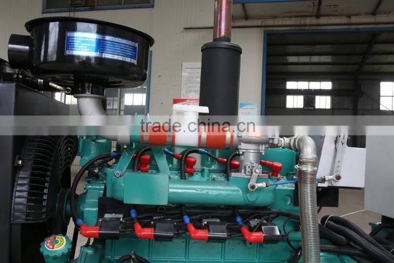 new products 4-stroke natural gas engine SP4100DT 20KW biogas generator