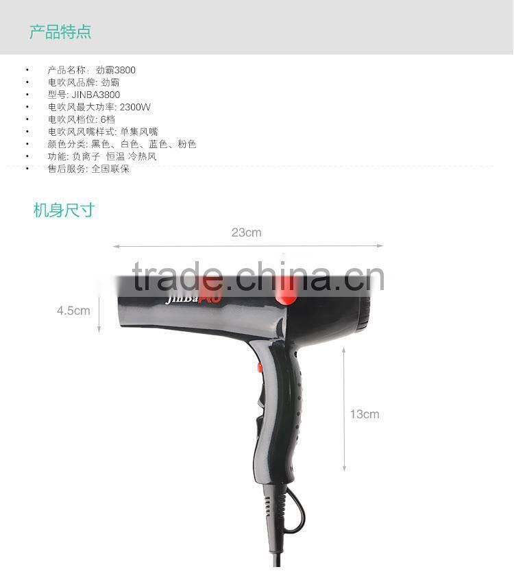 Professional DC motor AC motor Hair Dryer