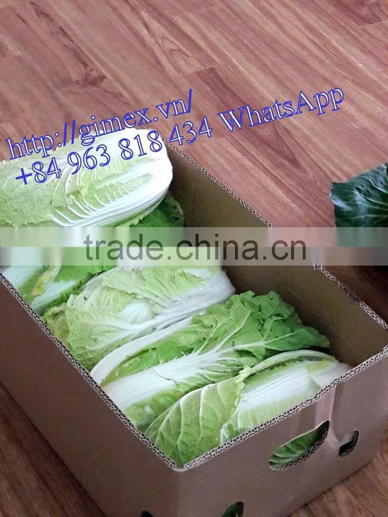 FRESH CHINA CABBAGES