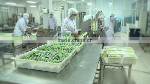 discount wasabi custom brand