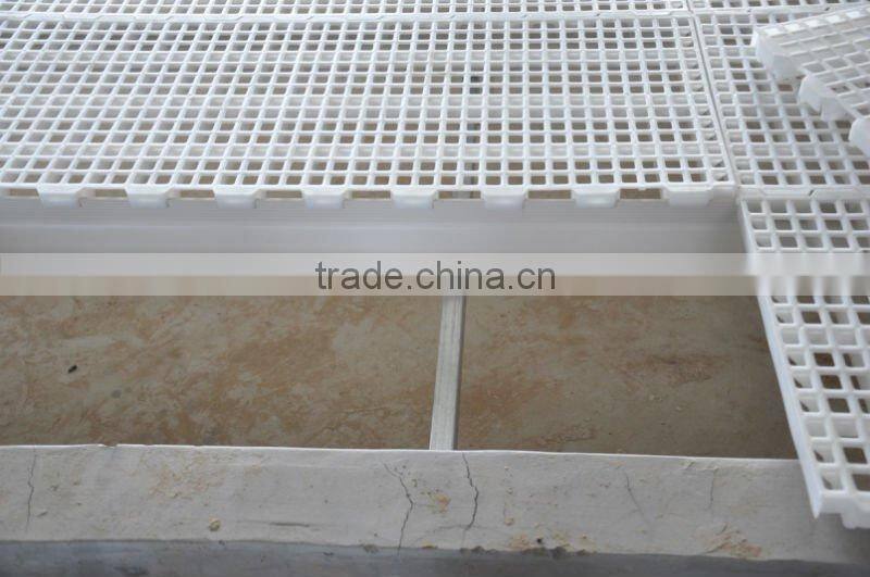 poultry plastic chicken floor