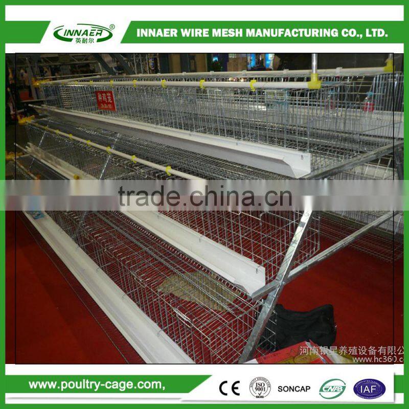 Hot Sale for China Egg Chicken Cage(ISO9001) for Poultry farming