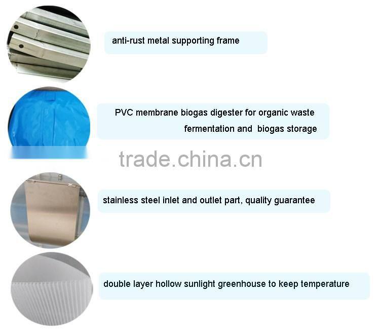 Mini portable assembly biogas system