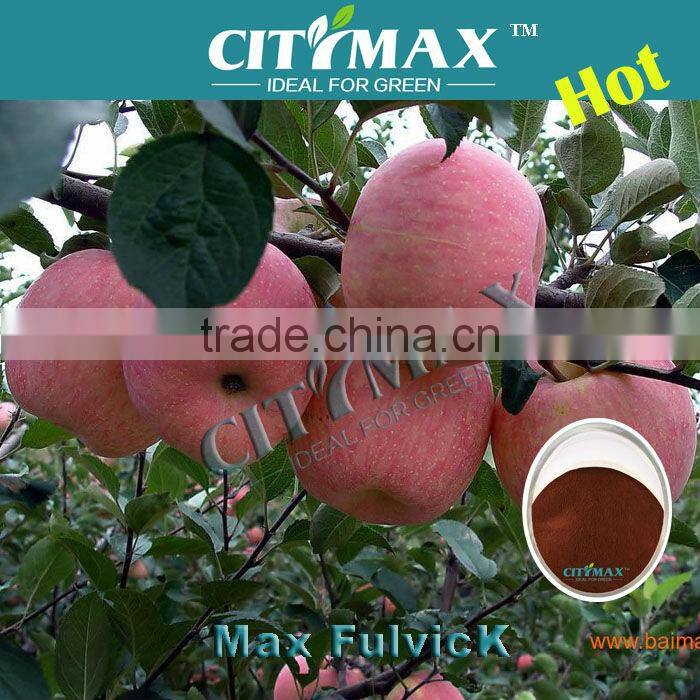 Organic Fertilizer 60%FA 15%NPK