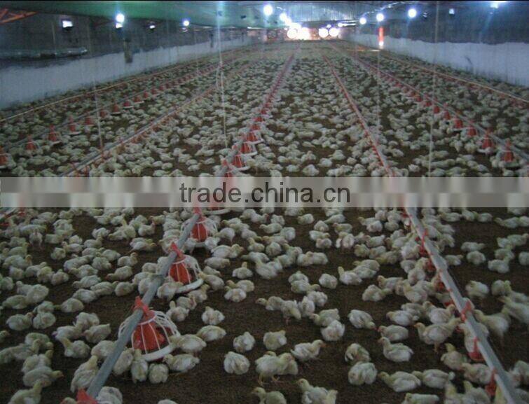 plastic broiler feeder