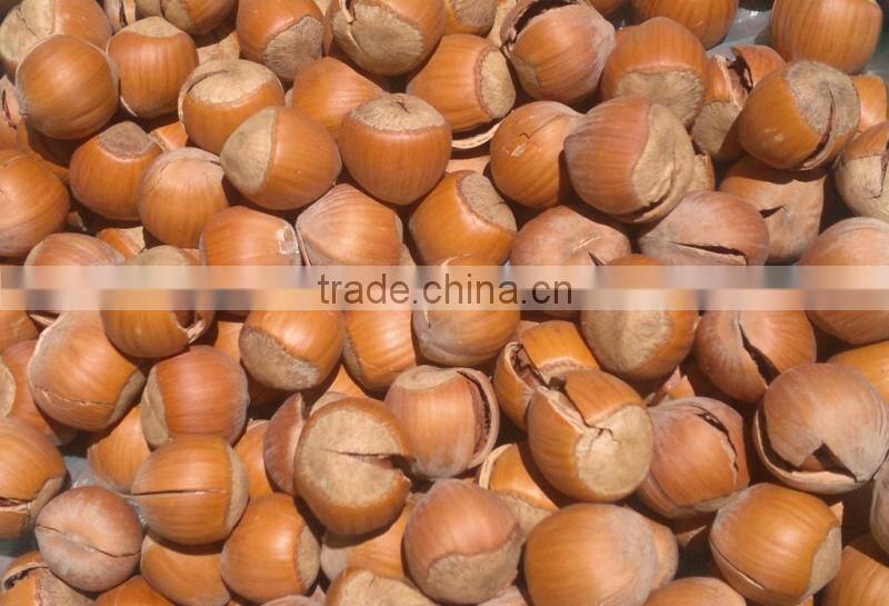 Professional Industrial Roasted Seeds And Nuts Machine