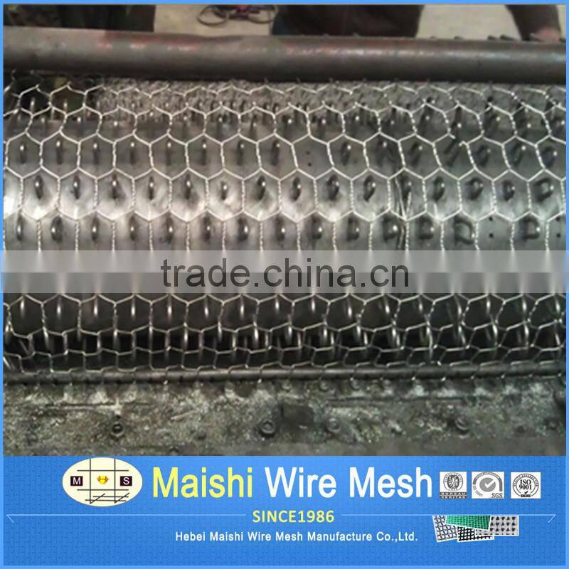 Hebei Maishi Galvanized hexagonal wire netting for fencing