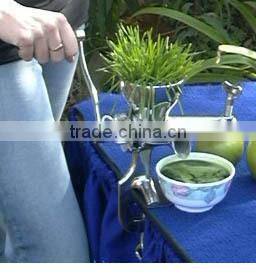 Factory Supply stainless steel wheatgrass juicer
