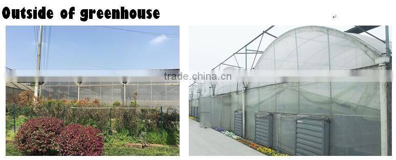 commercial dome greenhouse for agricultural