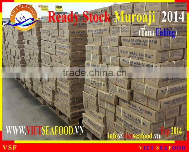 READY STOCK FOR SUPPLY MUROAJI FOR TUNA BAIT