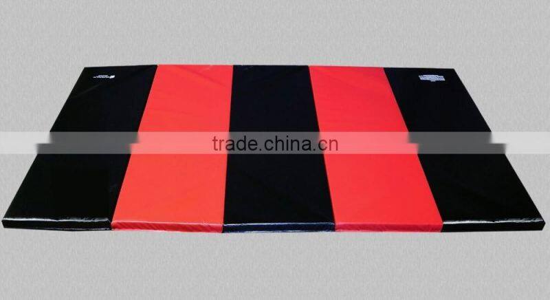 5'x10' Gymnastics, Tumbling, Exercise, Martial Arts, Multi-purpose Mat