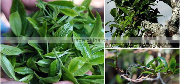 Best Organic Loose Leaf Puerh Tea New Season Raw Puer Tea