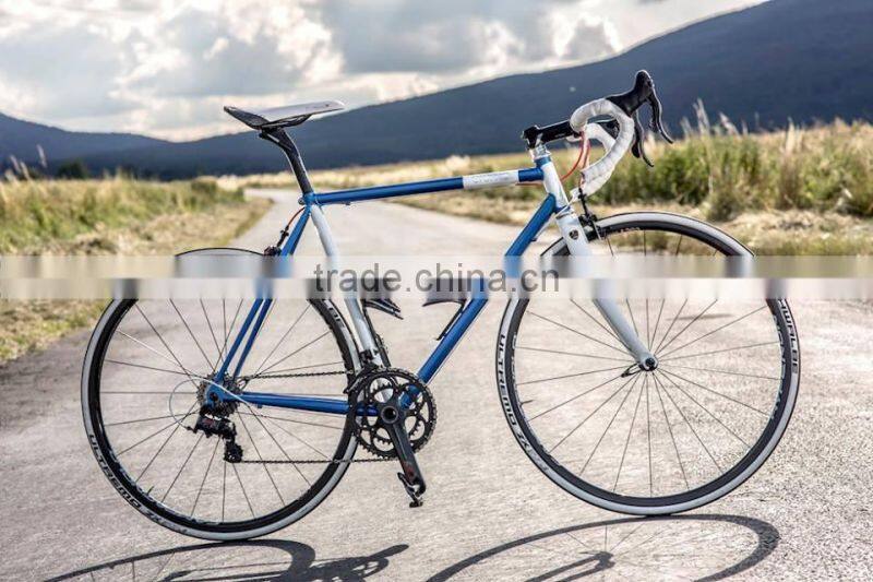 road bike, geared bike