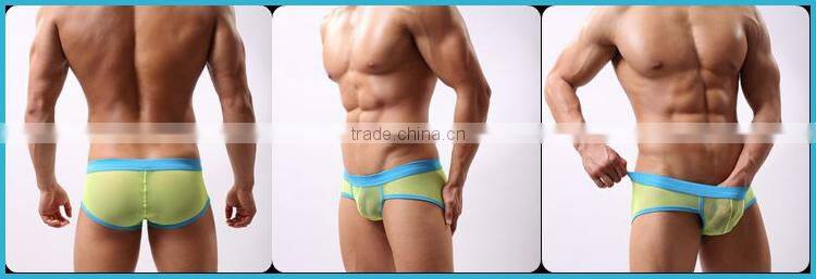 Without Logo Hot Sexi Photo Image Of Transparent Mesh Men Underwear Briefs Custom SC16