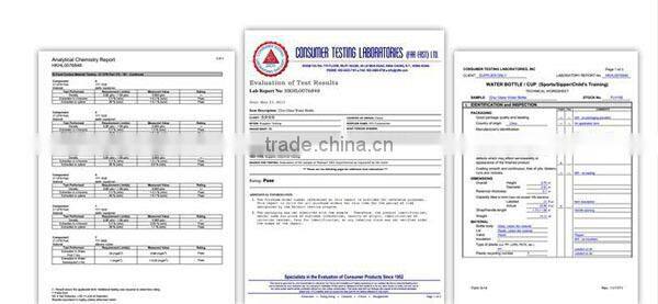 Drinking Tea Glass Water Bottle