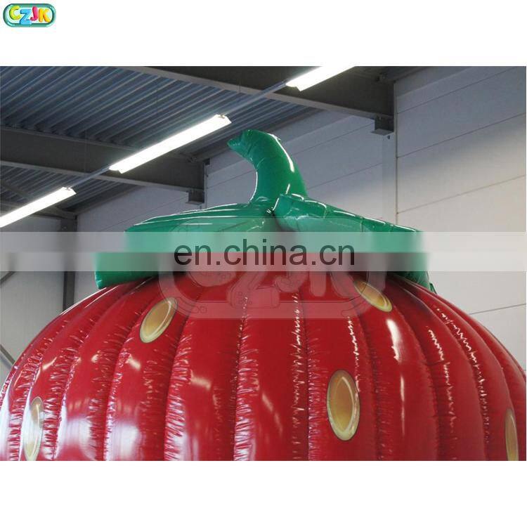 strawberry inflatable jumper bouncer  bounce house jumping bouncy castle