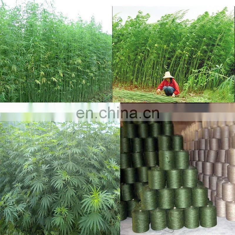 Kenaf hemp extracting machine ramie decortication sisal fiber processing machine