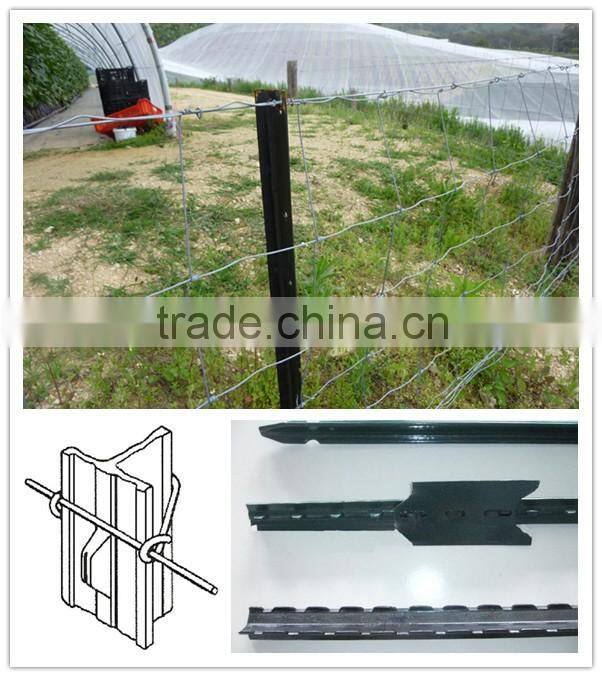 Alibaba express china supplier steel T post