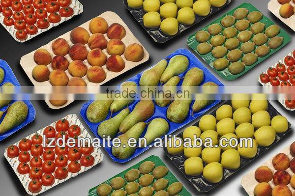 China Professional Manufacturer&Exporter With Absorbent Pad Plastic PP Meat Tray