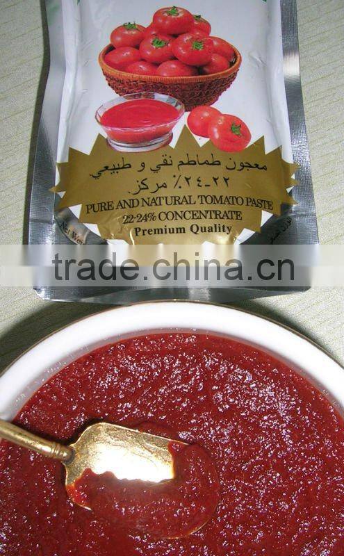 tomato paste in standing pouch