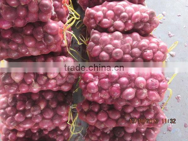 Fresh Onion Market Price