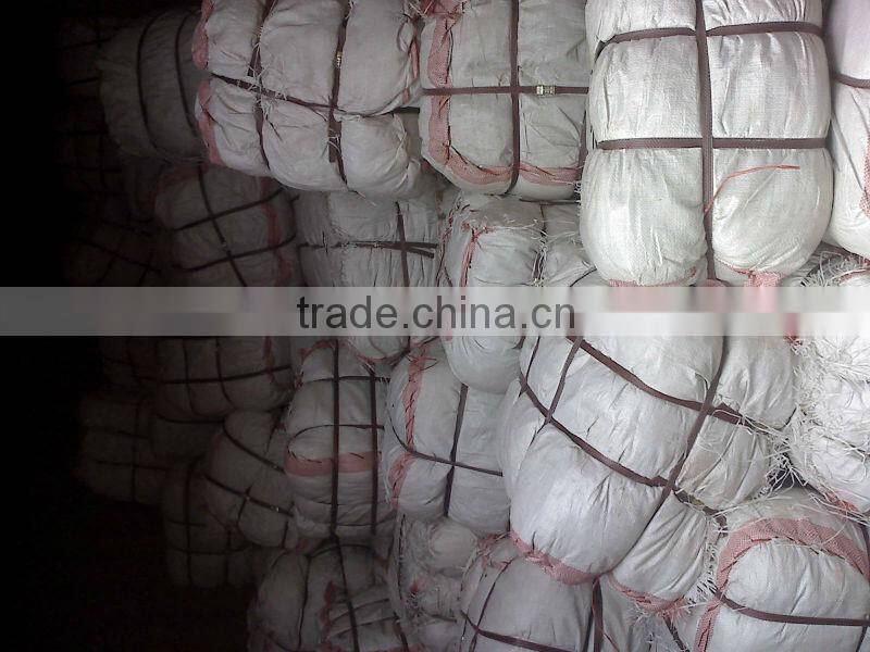 Gracilaria (seaweed)