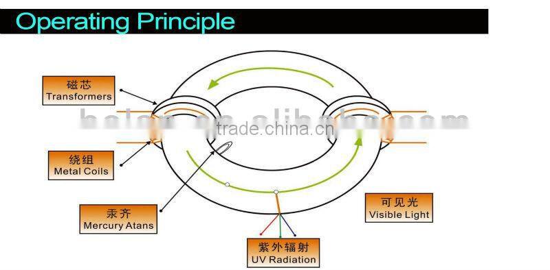 ip65 new product solar induction light street lamps
