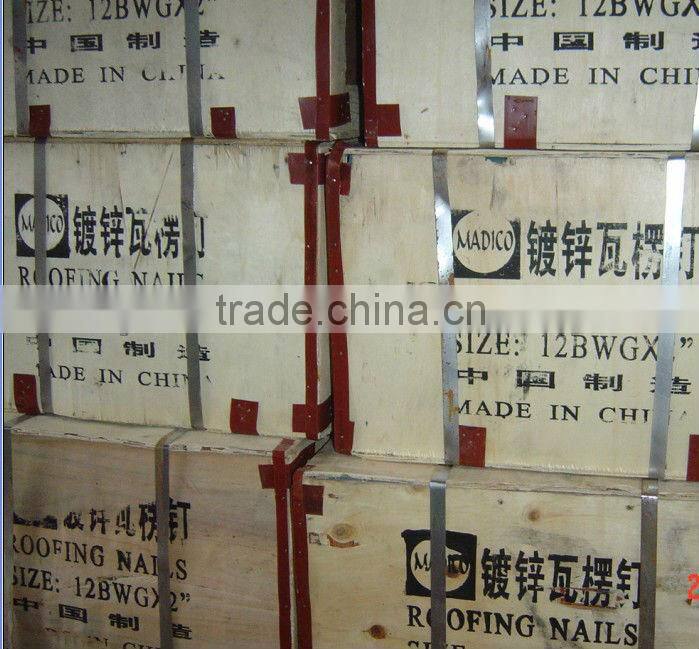 Galvanized Umbrella Head construction roofing wire nails