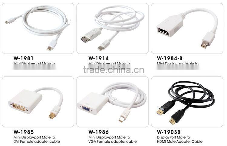 DisplayPort Male to DVI Cable Male Black