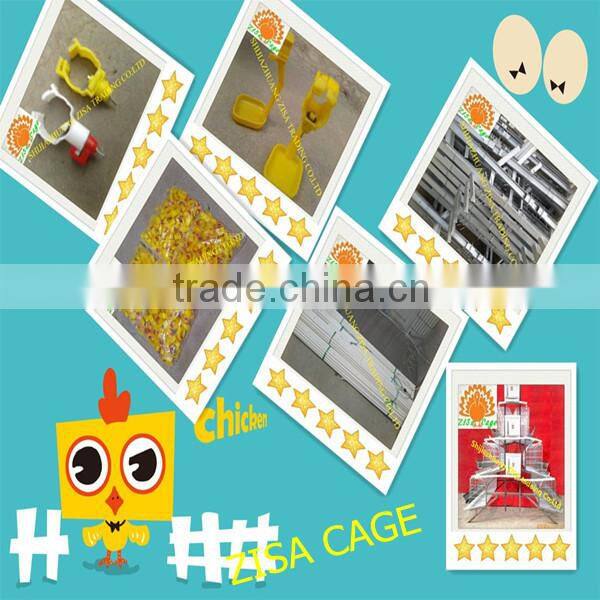 120 birds poultry cage for battery layer chicken farms