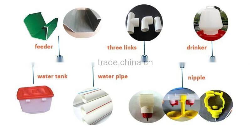 Hot selling in South africa A type layer cage for sale