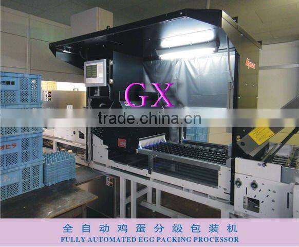 Full-Auto Egg Packing Processor