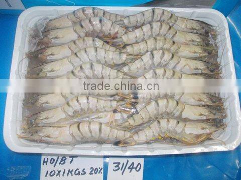 FROZEN HEAD ON BLACK TIGER SHRIMPS