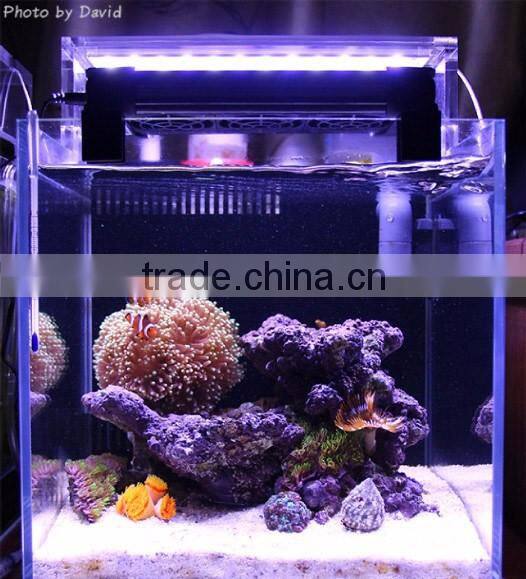 Distributors wanted Chihiros aquarium lighting led system 329-5361
