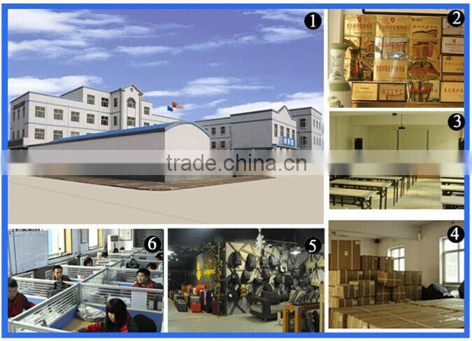 2015 China supplier New Fashion High Quality Wheeled School Bag