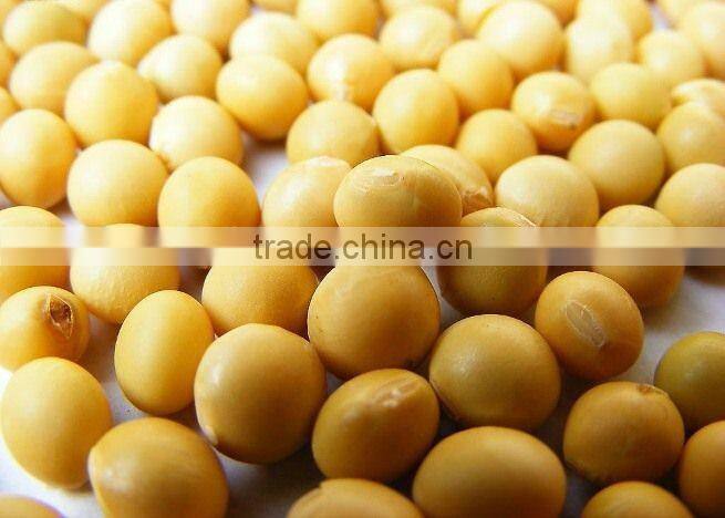 soybean peptide polysaccharide peptide to prevent cardiovascular disease
