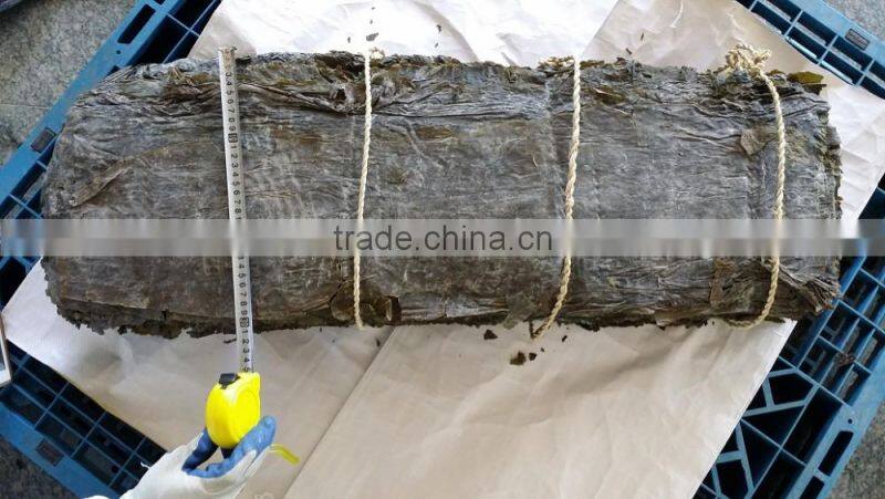 Dried kelp sheet, dried kelp board to conduct SPA treatments in beauty salons
