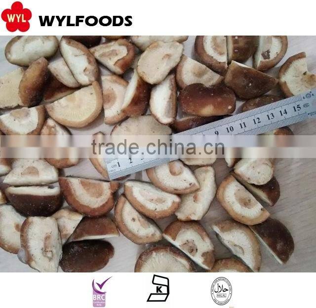 iqf price for frozen shiitake quarter 2015 crop