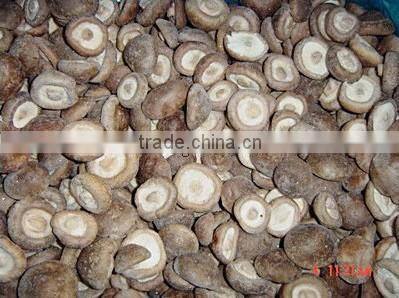 Good quality frozen IQF king oyster mushroom pieces