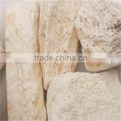Dry Herbs Chinese Ossa Draconis